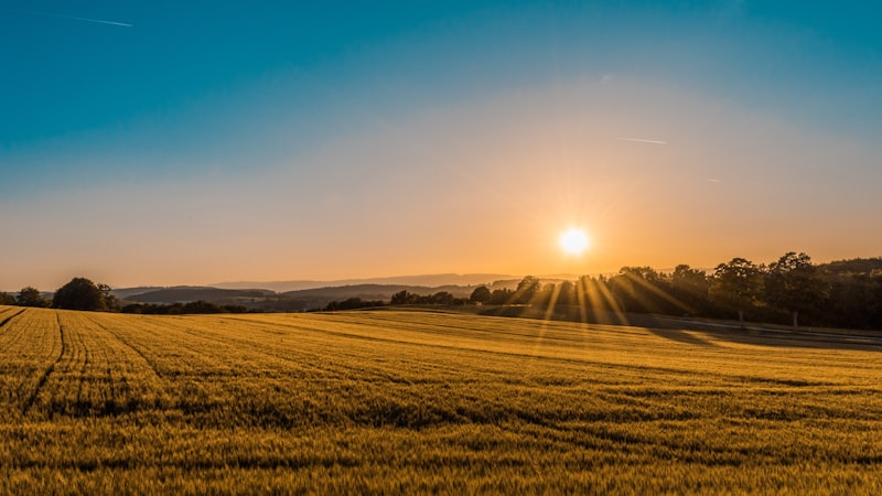 Game fencing across farmland
